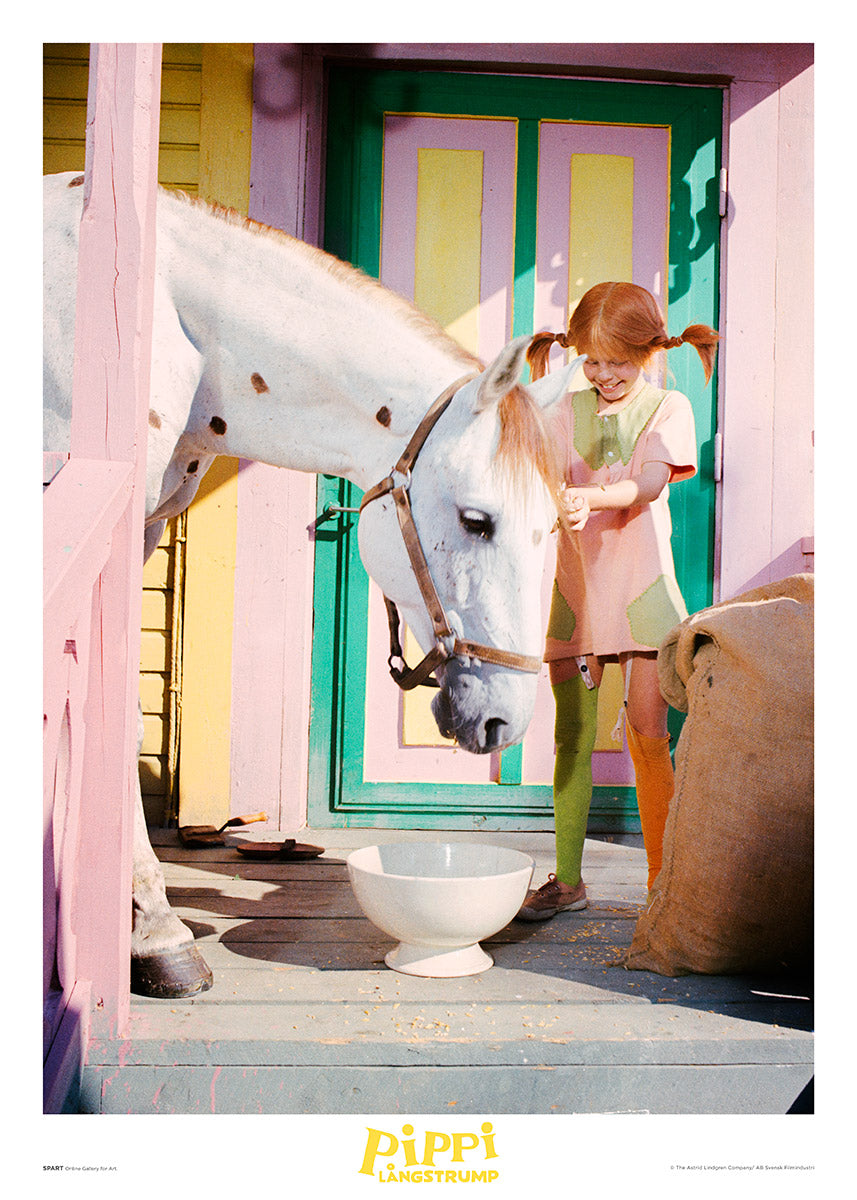Pippi- Matar Lilla Gubben