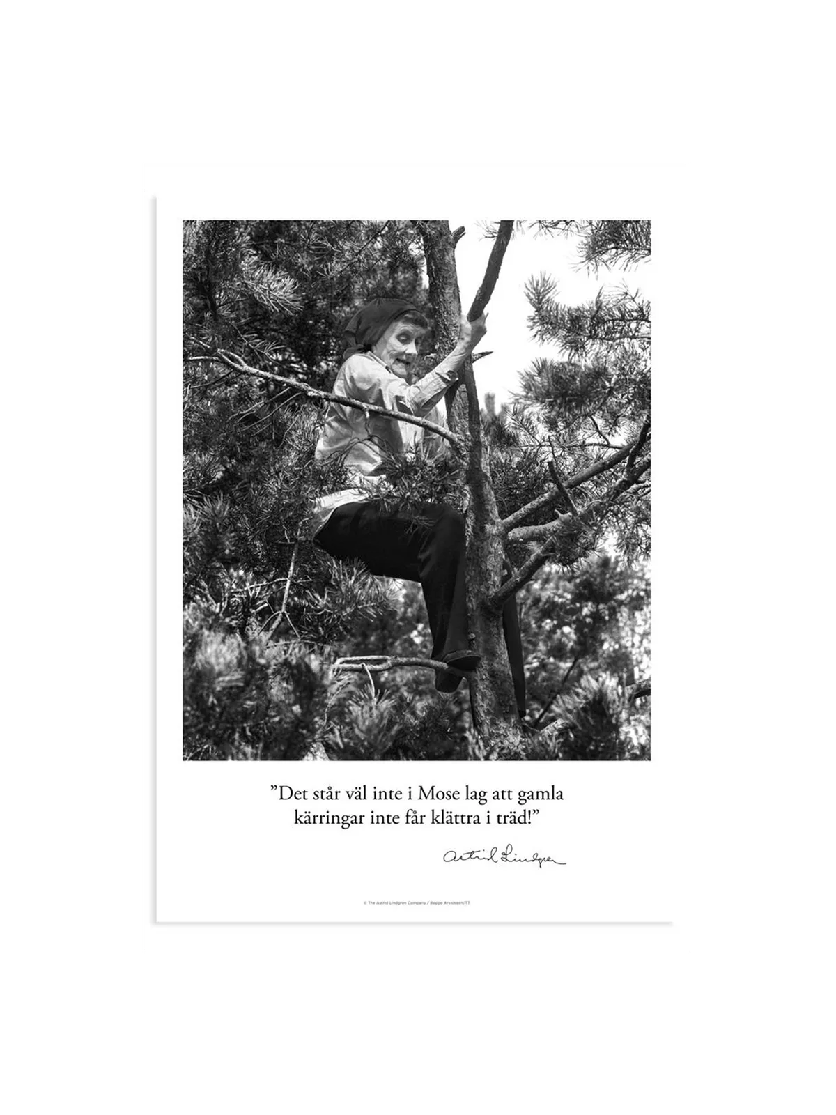 Astrid klättrar i träd