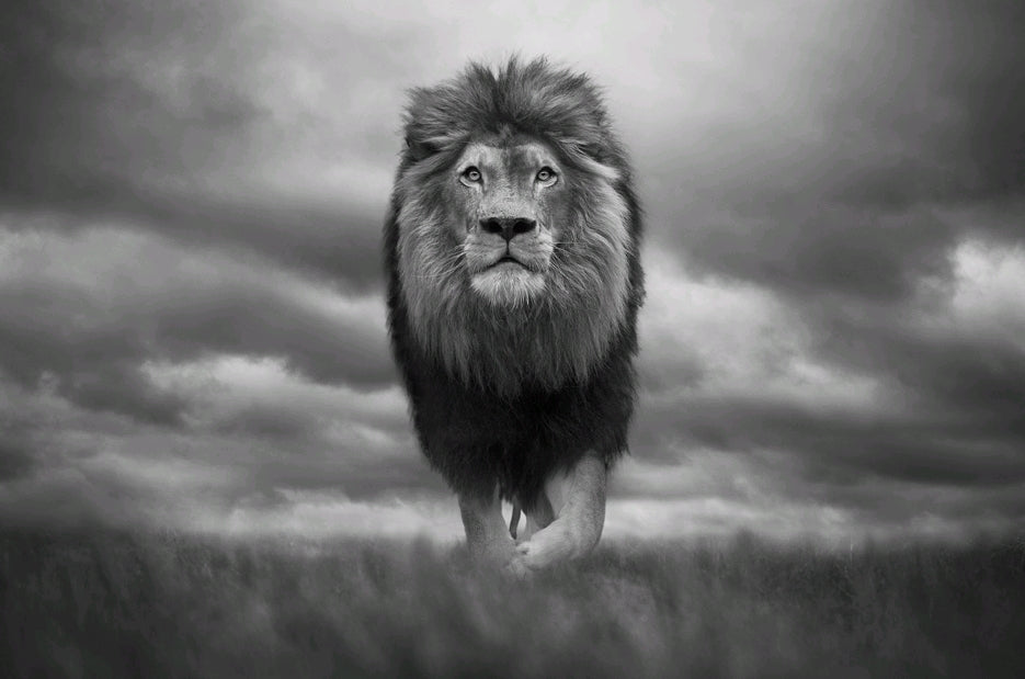 King of kings
