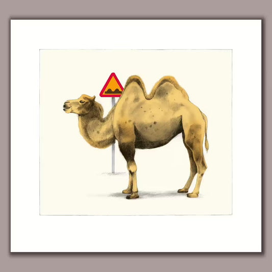 Camel parking
