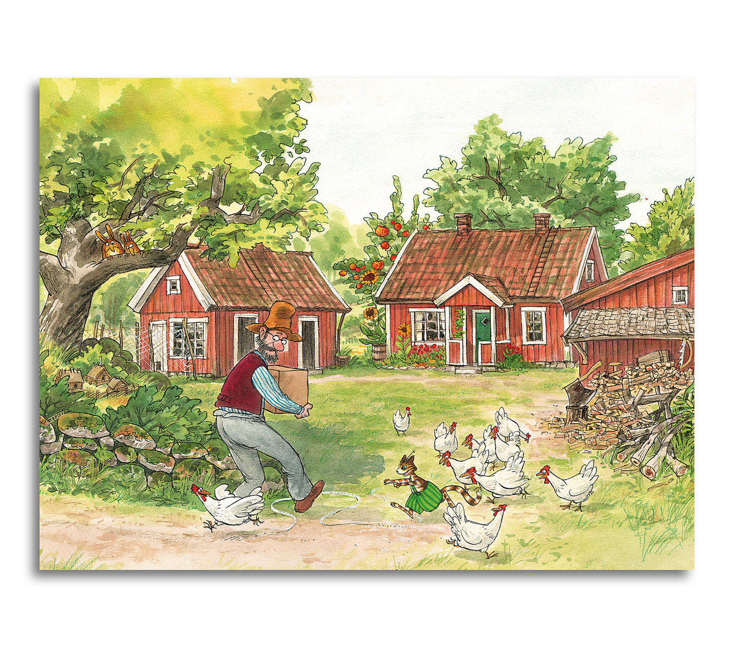 Findus jagar hönsen