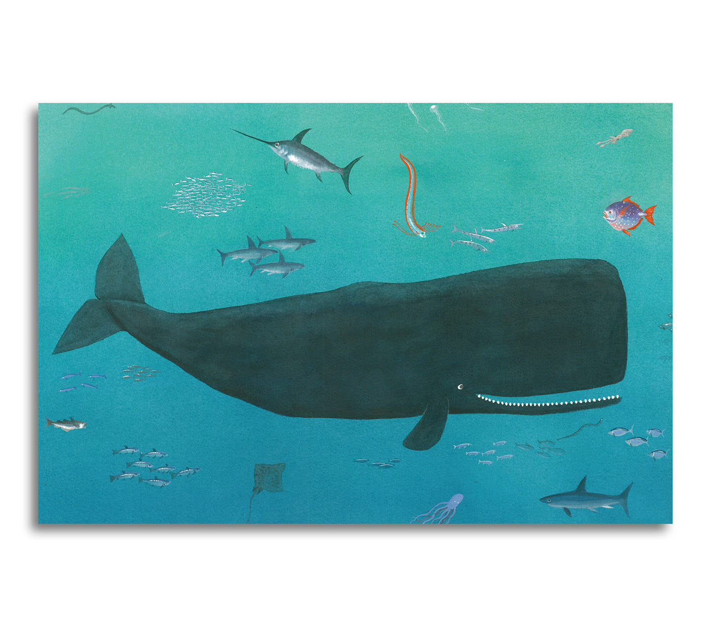 Valen Valdemar är jättestor och simmar vart han vill