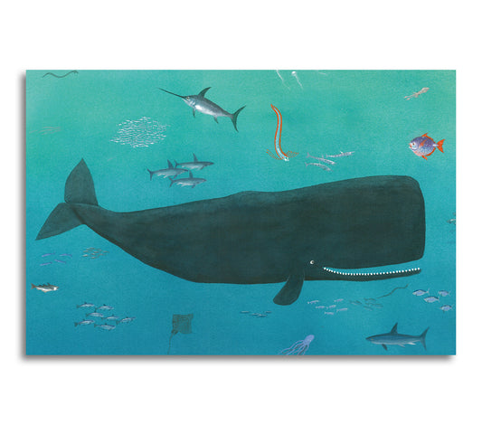 Valen Valdemar är jättestor och simmar vart han vill