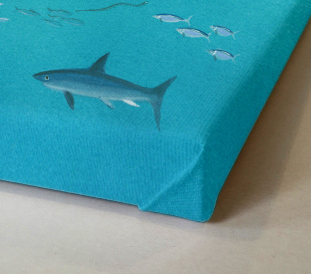 Valen Valdemar är jättestor och simmar vart han vill